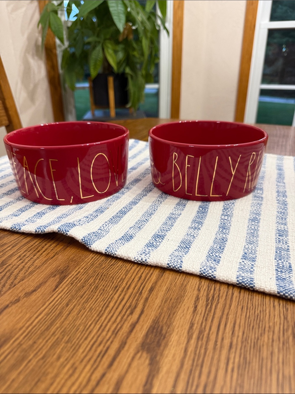 Rae Dunn Red Ceramic Pet Bowls with Gold Lettering - Set of 2